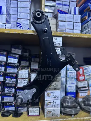 Lower Arm Kia Santa Fe 2024 Pair