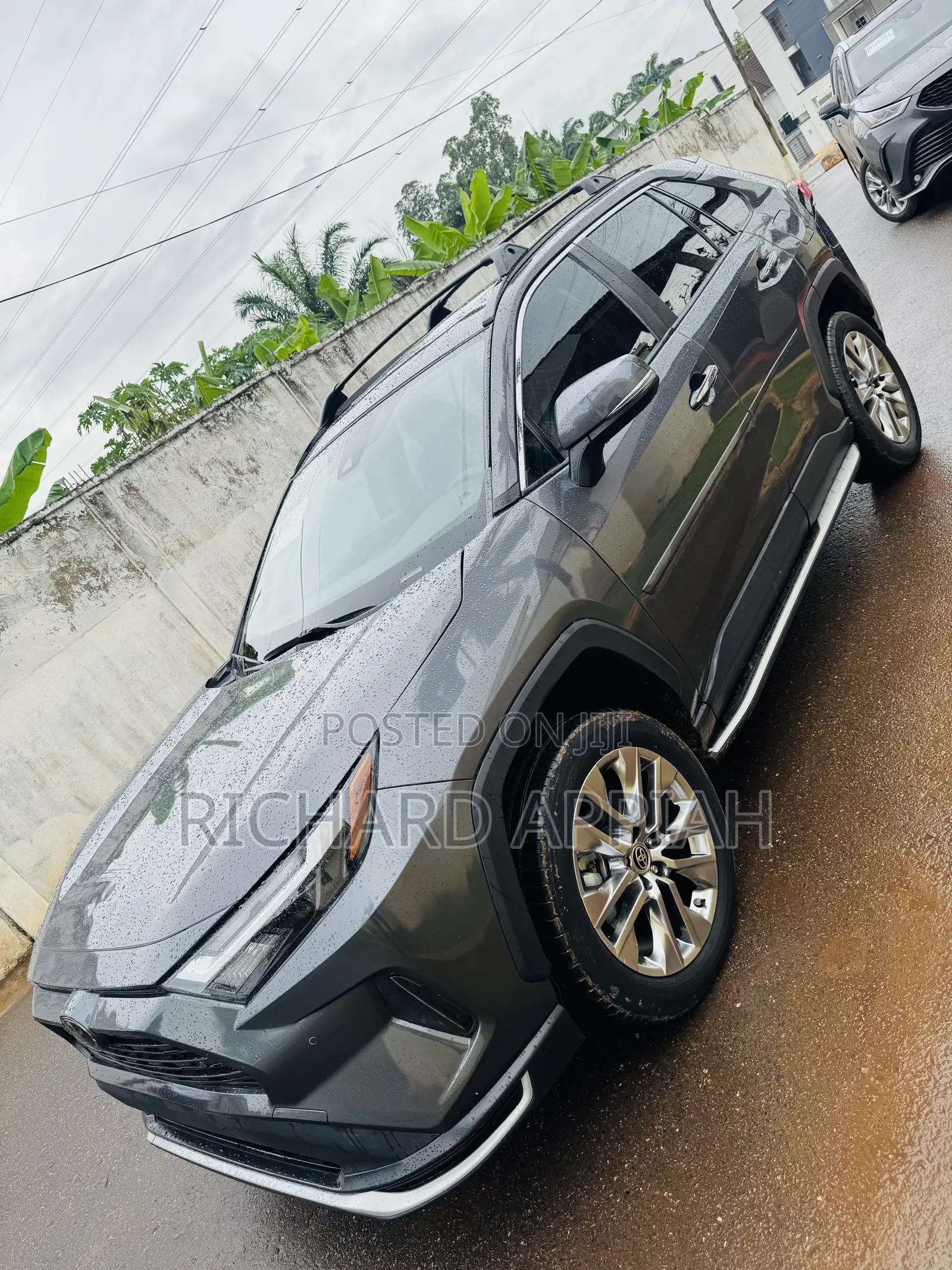 Toyota RAV4 Limited AWD 2024 Gray