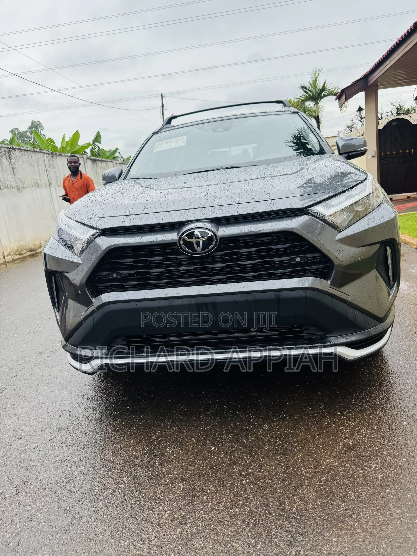 Toyota RAV4 Limited AWD 2024 Gray