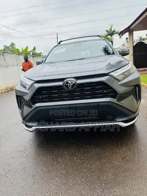 Toyota RAV4 Limited AWD 2024 Gray