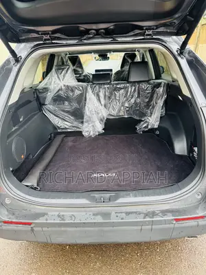 Toyota RAV4 Limited AWD 2024 Gray