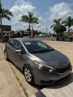 Kia Forte EX Hatchback 2015 Gray