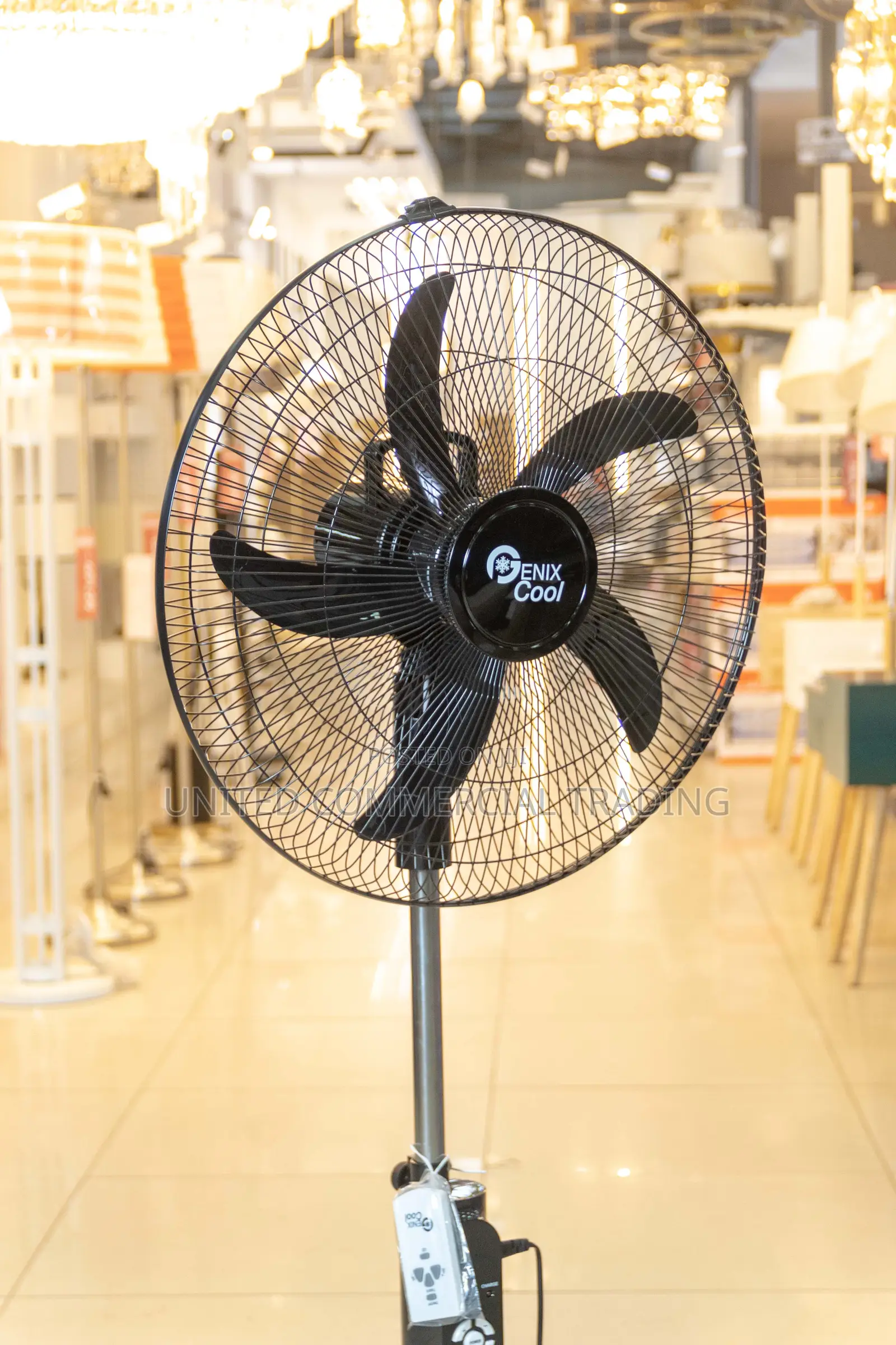 Rechargeable Fan 18'
