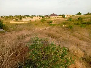 Genuine Lands for Sale at Amasaman-Amuman
