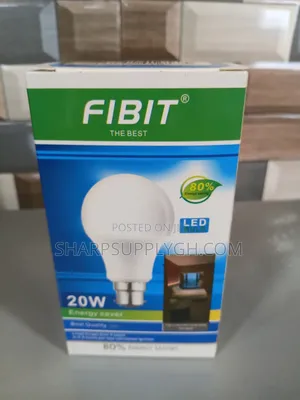 20w Fibit Round Bulb