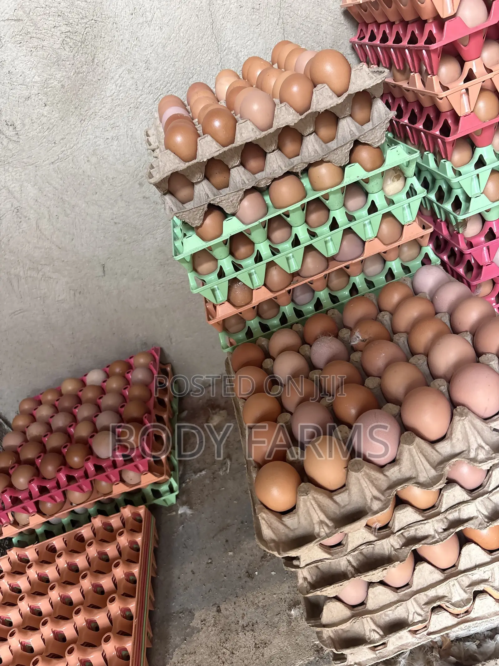 Fresh Eggs and Broilers Available