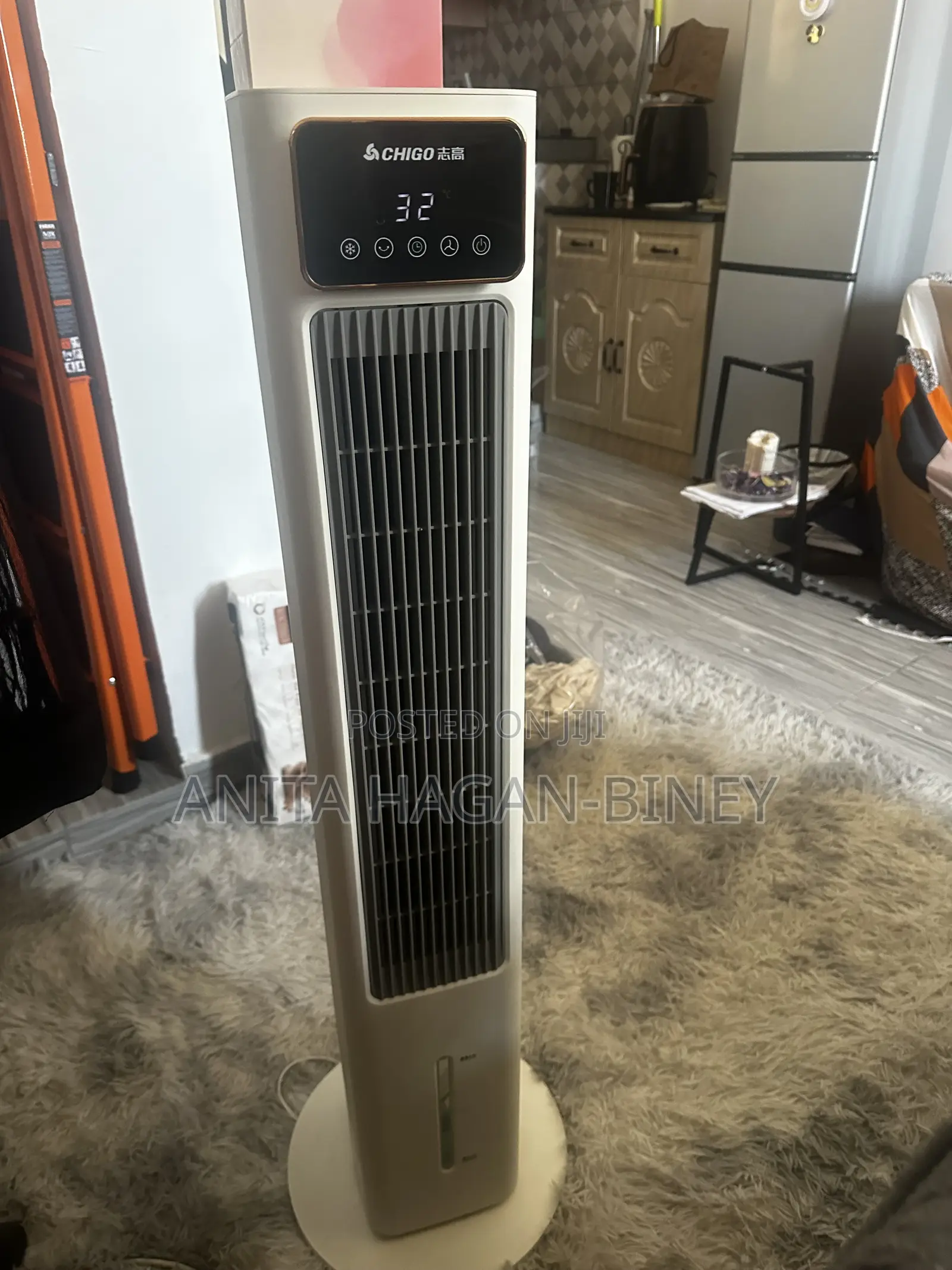 Air Cooler