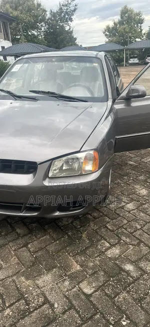 Hyundai Accent WRC 2001 Gray