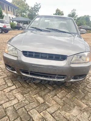 Hyundai Accent WRC 2001 Gray