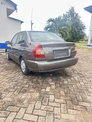 Hyundai Accent WRC 2001 Gray