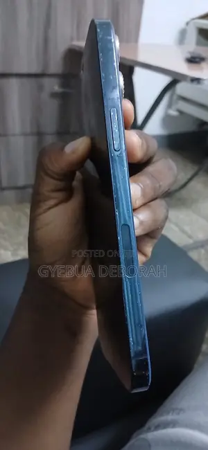 Apple iPhone 12 Pro Max 256 GB Blue