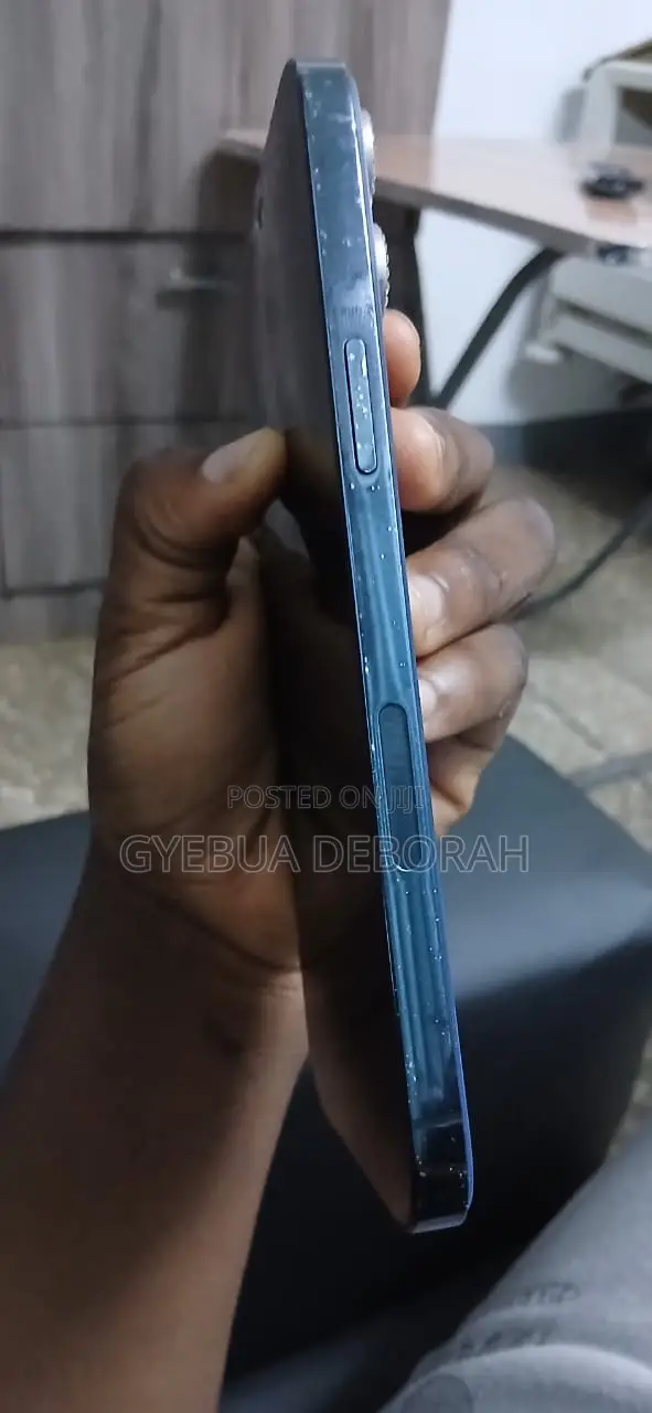 Apple iPhone 12 Pro Max 256 GB Blue