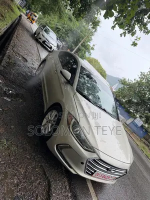 Hyundai Elantra ECO Sedan FWD (1.4L 4cyl 7A) 2017 Gray