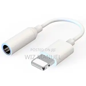 Type -C and iPhone Lightning Earpins Adapter