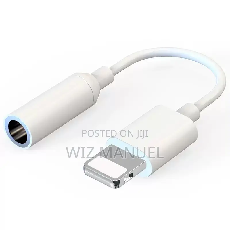Type -C and iPhone Lightning Earpins Adapter