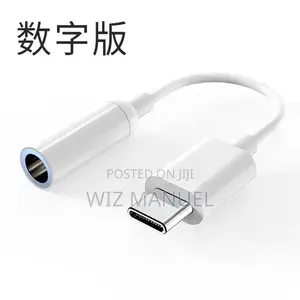 Type -C and iPhone Lightning Earpins Adapter