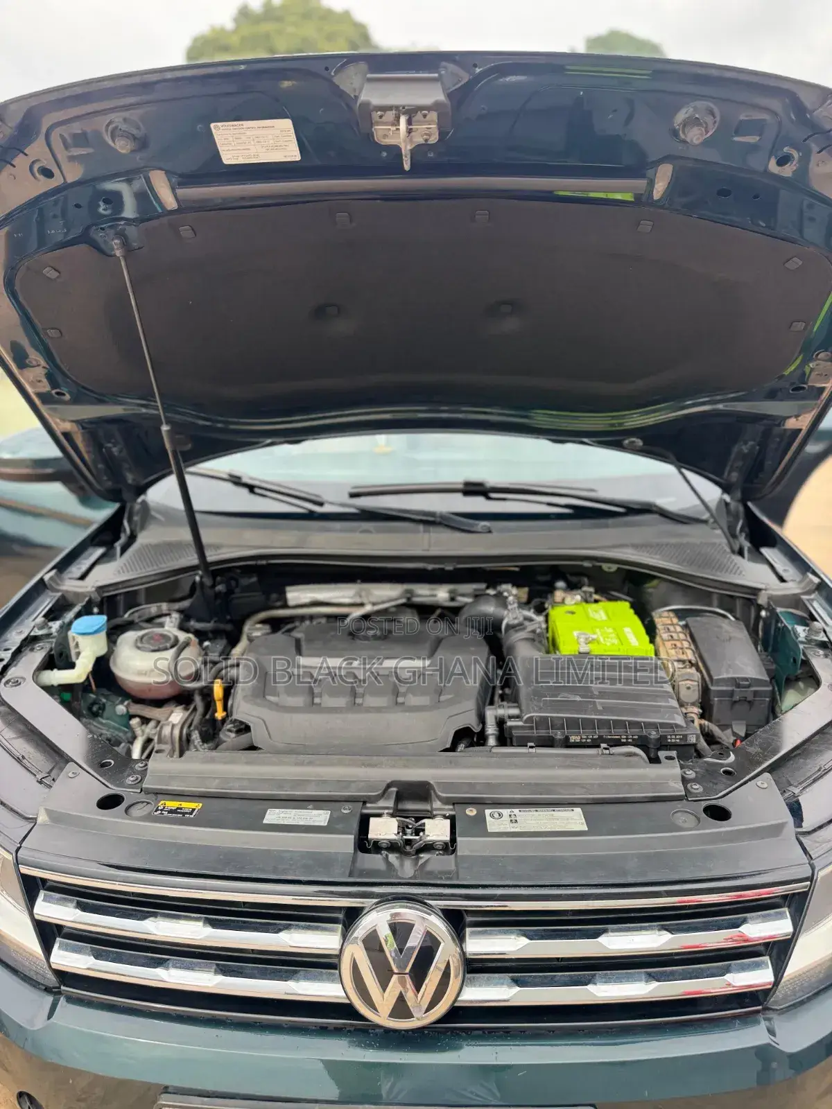 Volkswagen Tiguan 2.0T SE FWD 2019 Green
