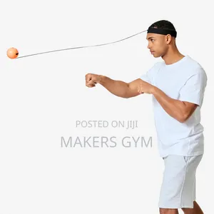 Boxing Reflex Ball