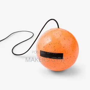 Boxing Reflex Ball