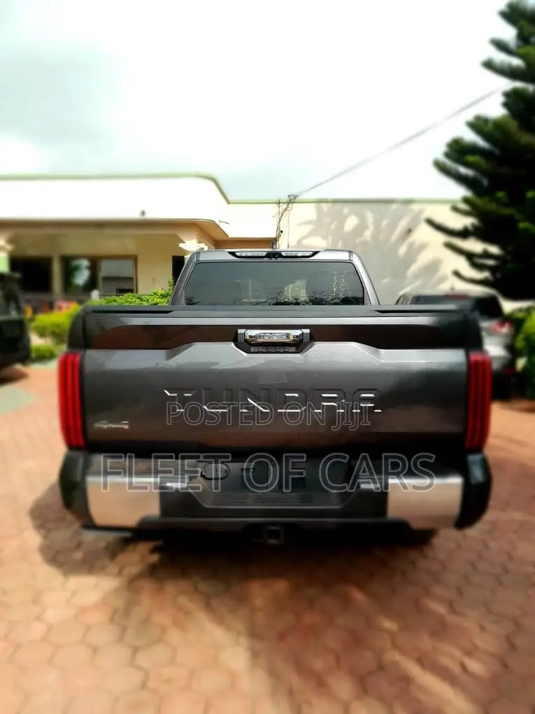 Toyota Tundra 2024 Beige