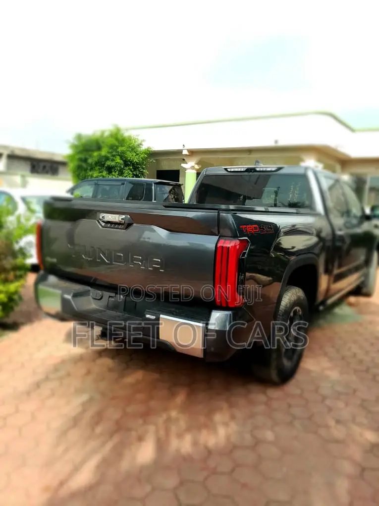 Toyota Tundra 2024 Beige