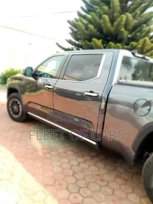 Toyota Tundra 2024 Beige