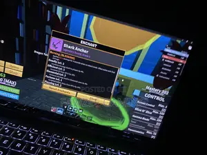 Blox Fruits Account for Sale