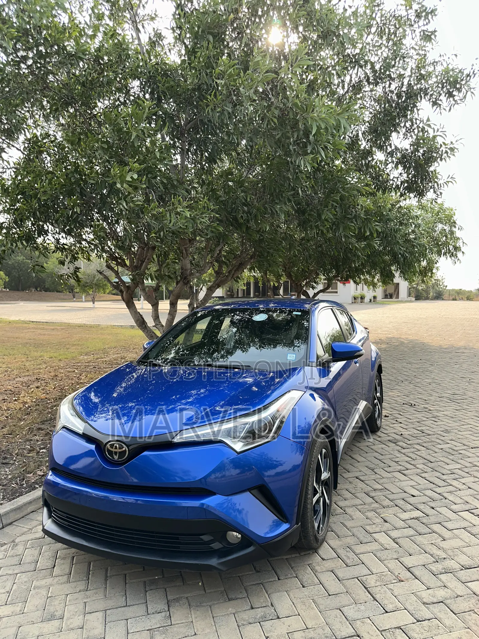 Toyota C-HR XLE Prermium FWD (2.0L 4cyl 2AM) 2018 Blue