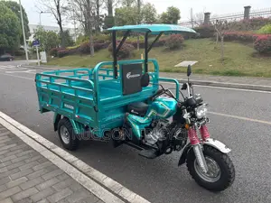 New Tricycle 2026