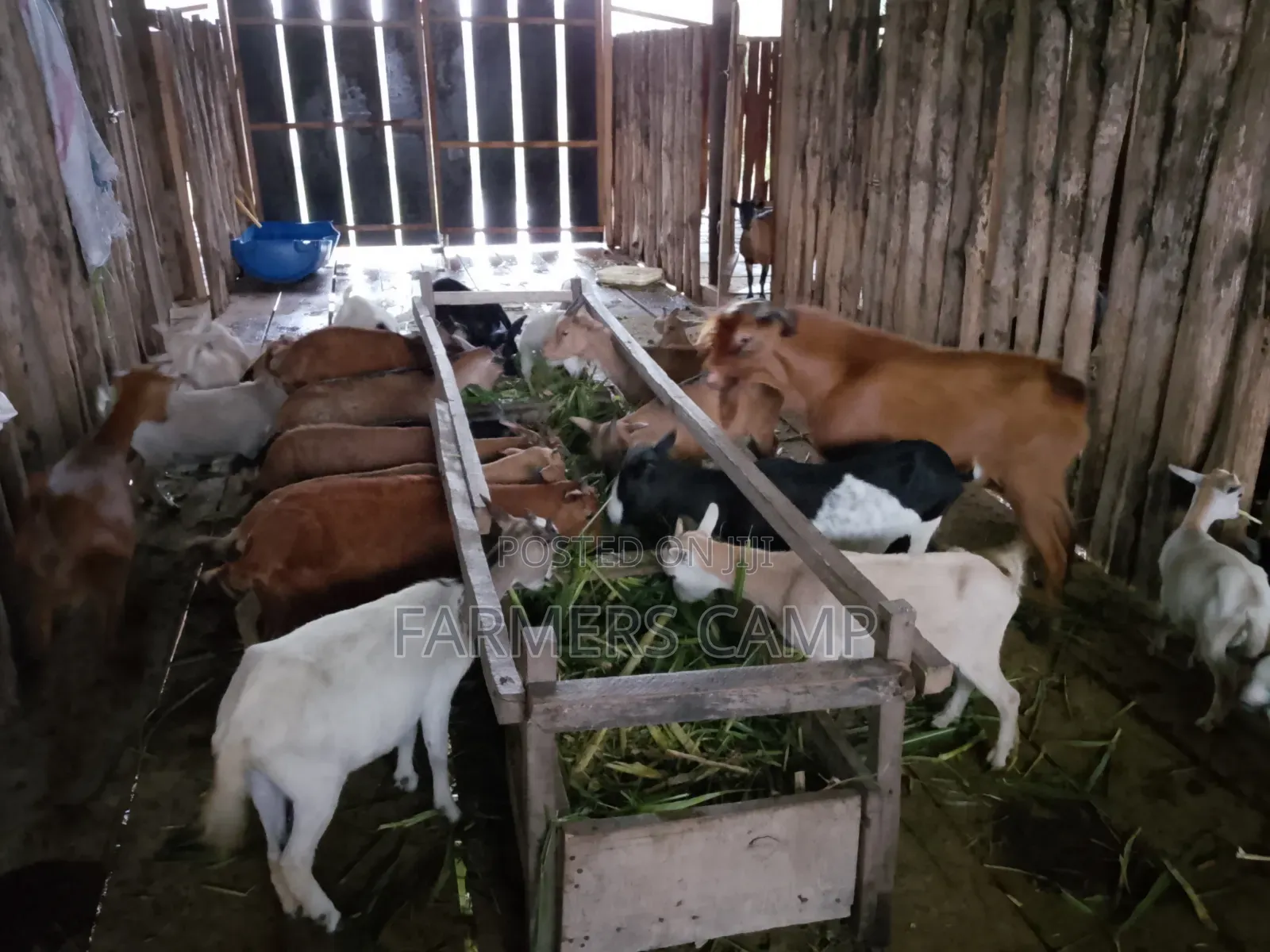 Farm Workers Needed