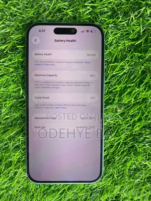 Apple iPhone 16 256 GB Green
