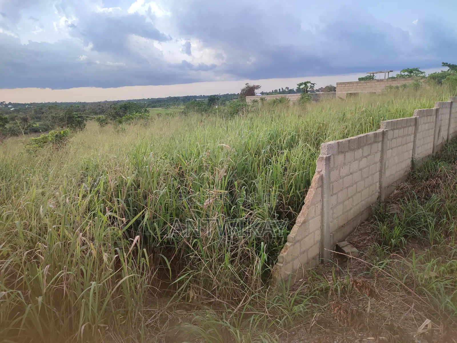 Plot of Land at Yaw Nkrumah, Juaben, Ashanti (100×150)