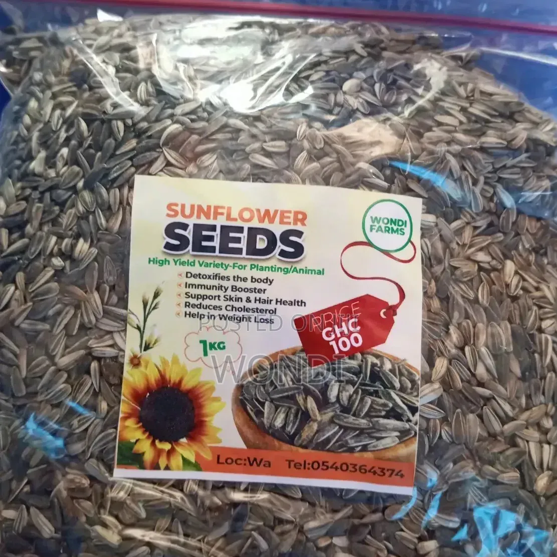 Sunflower Seeds For Sale