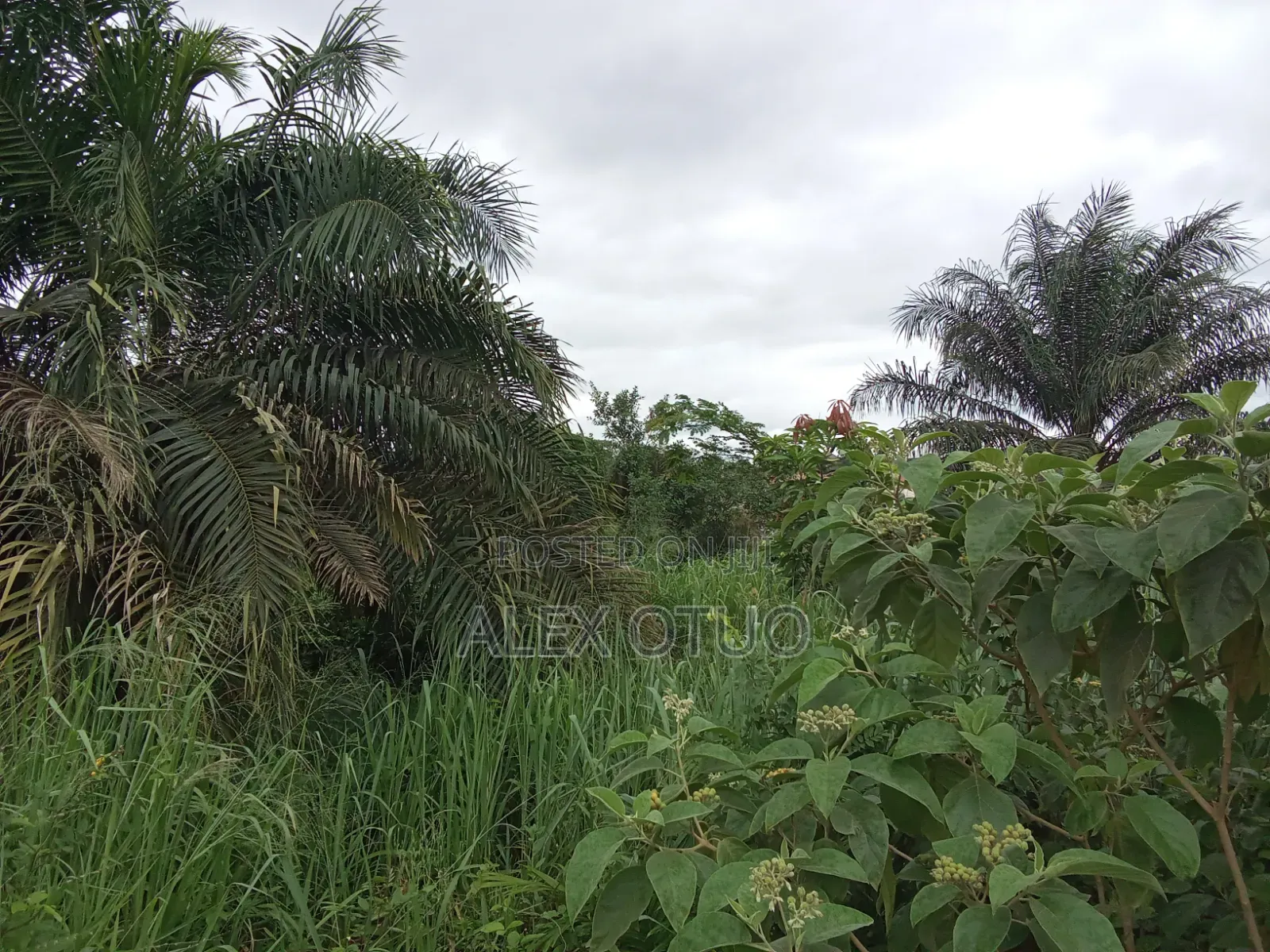 Plot of Land Close to the Main Road