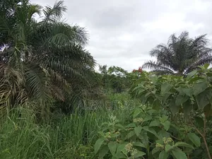 Plot of Land Close to the Main Road