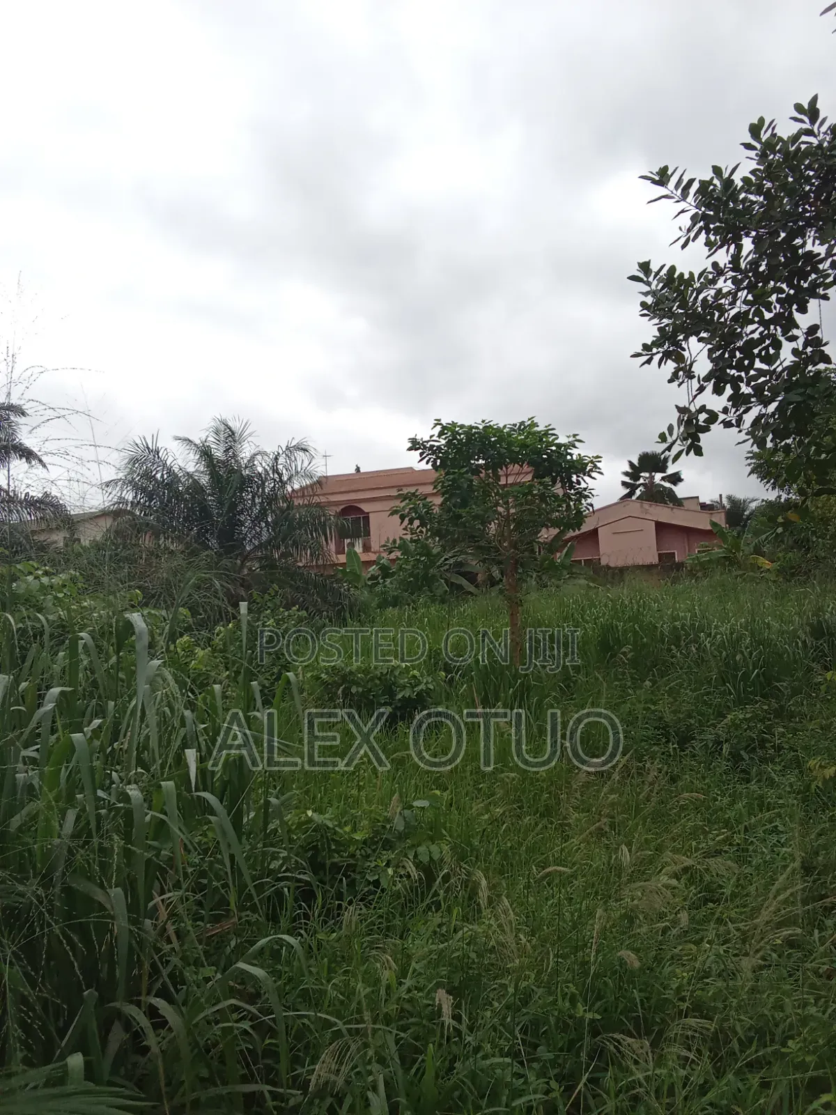 Plot of Land Close to the Main Road