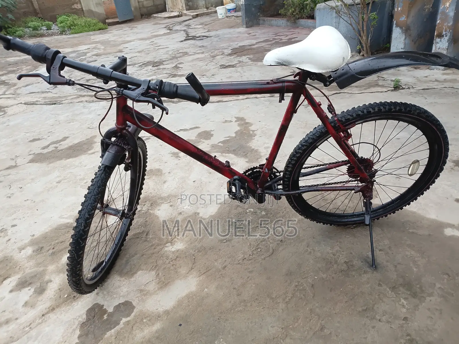 Mountain Bike