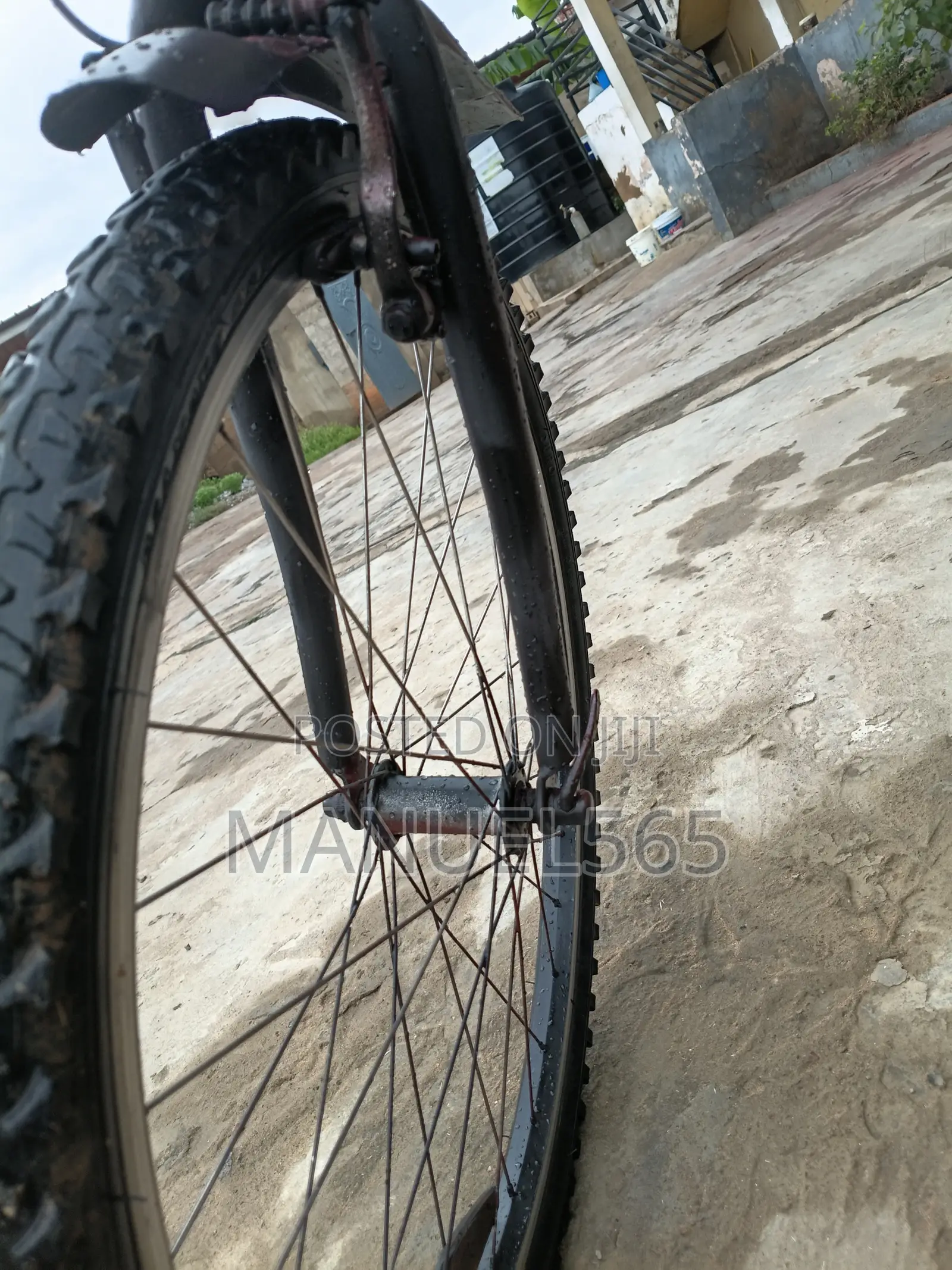Mountain Bike