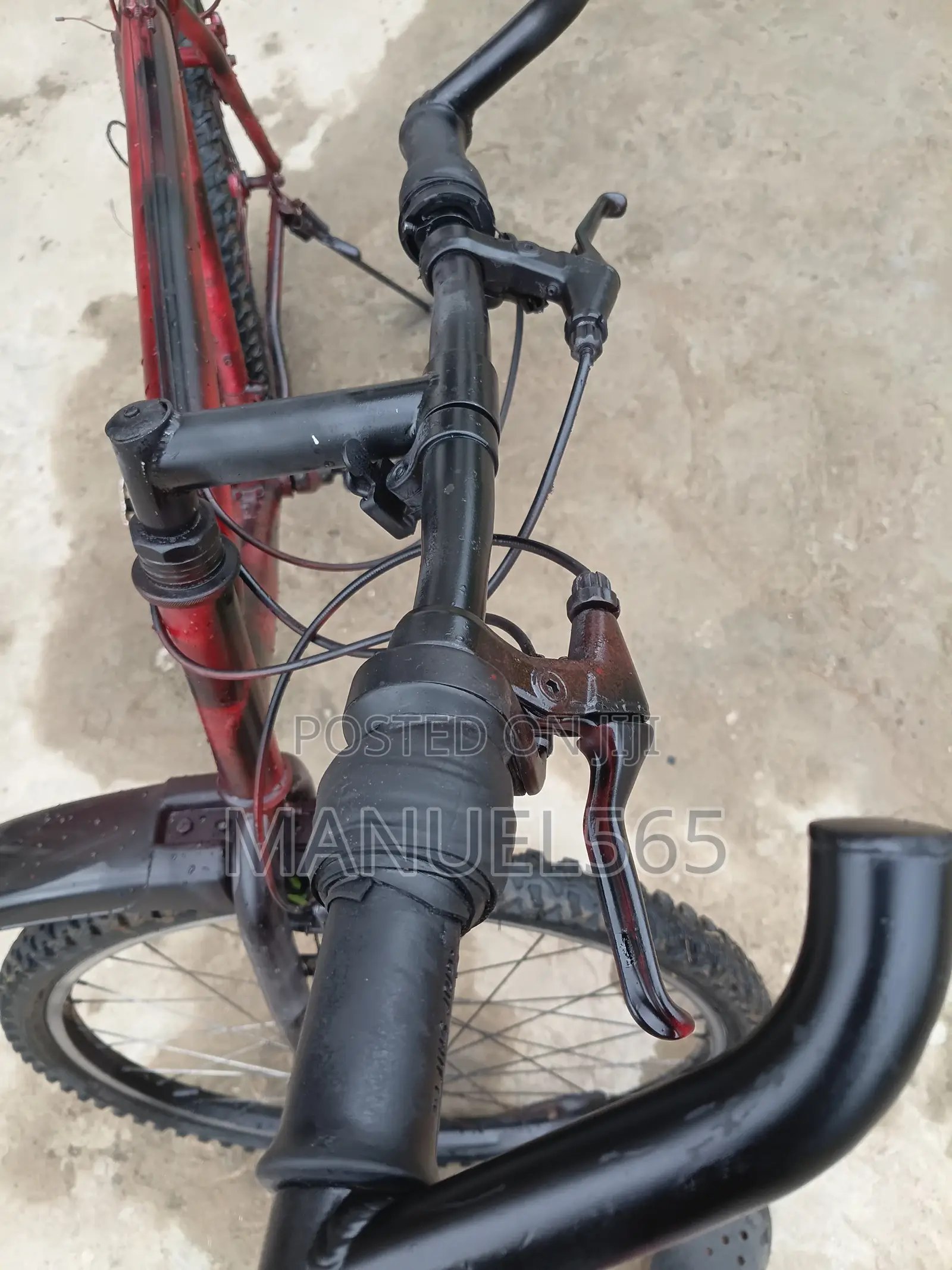 Mountain Bike