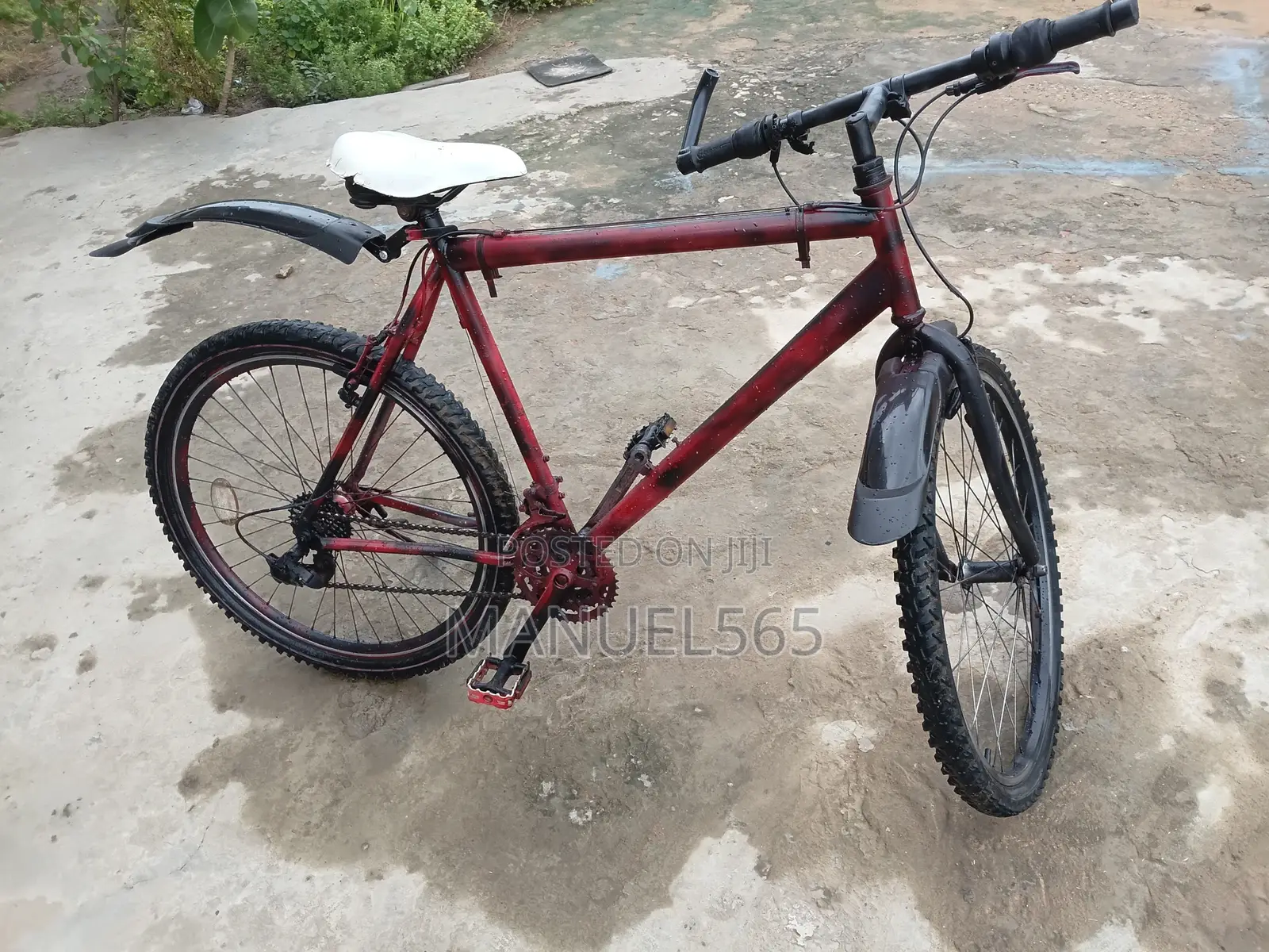 Mountain Bike