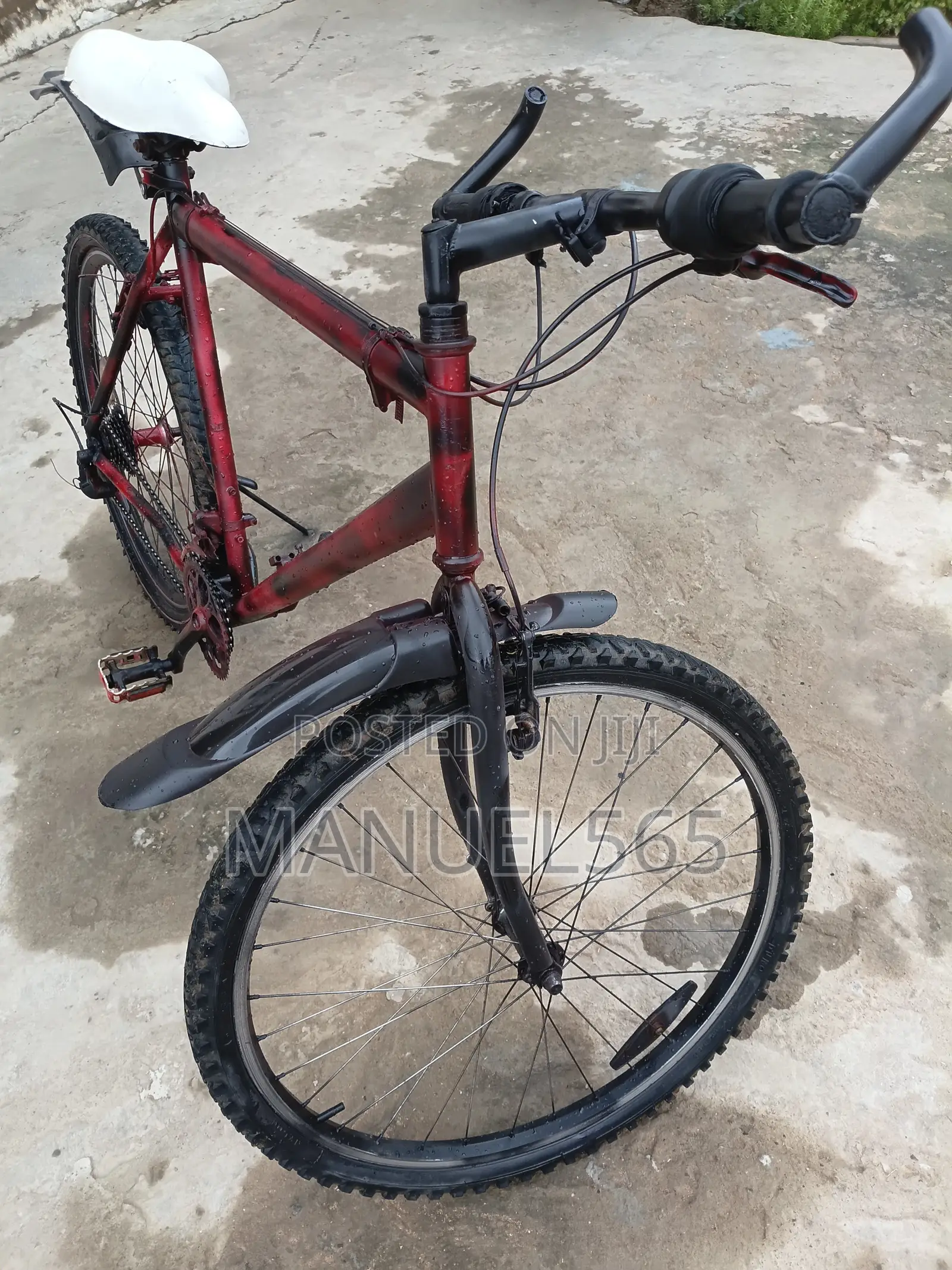 Mountain Bike