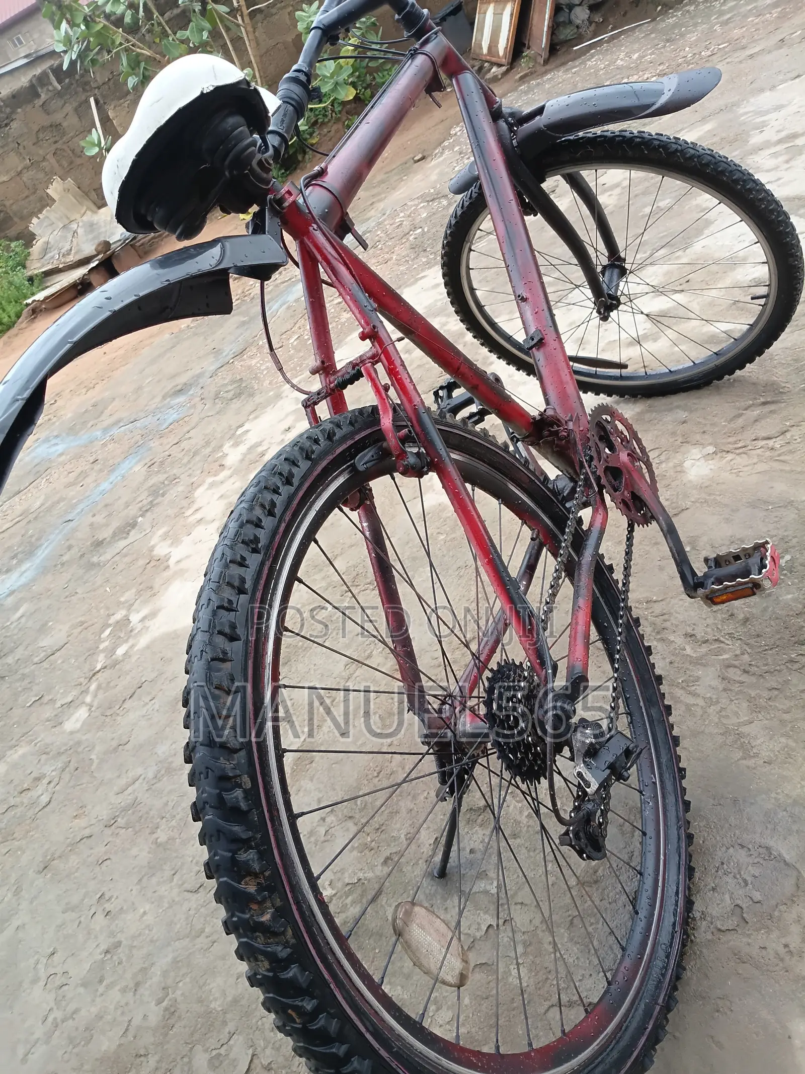 Mountain Bike
