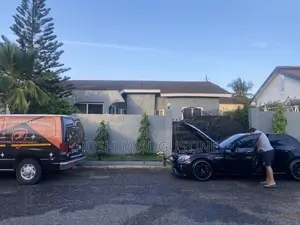 Mobile Detailing Services