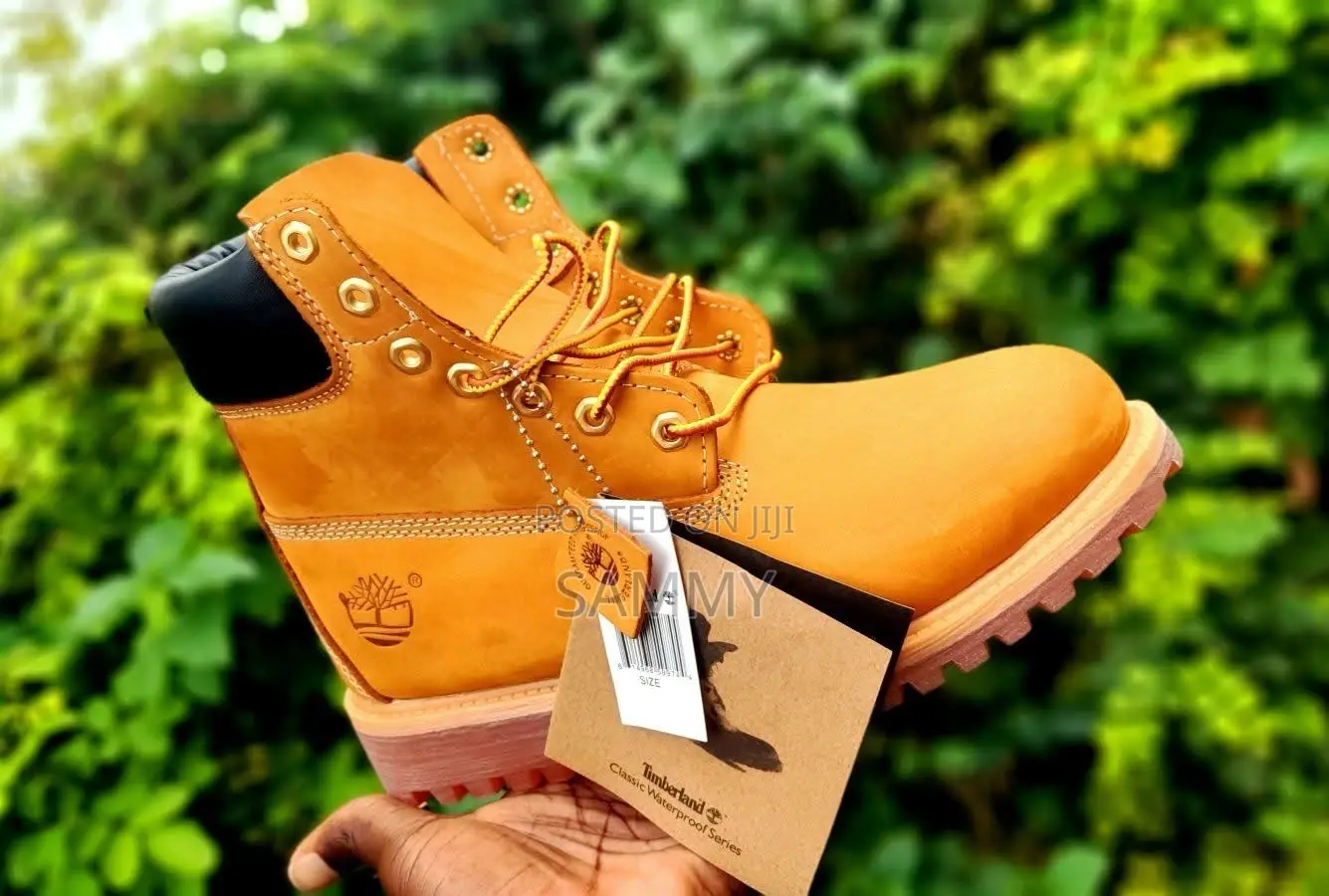 Timberland