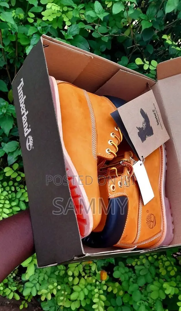 Timberland