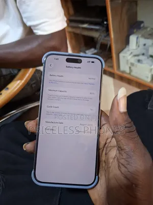 Apple iPhone 15 Pro Max 256 GB Silver