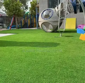 Artificial Grass for School Compound