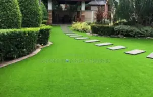 Green Grass Carpet for Compound and Gardens