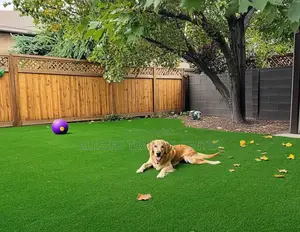 Green Grass Carpet for Compound and Gardens