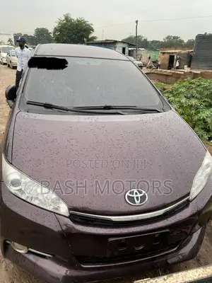 Toyota Wish 2011 Purple